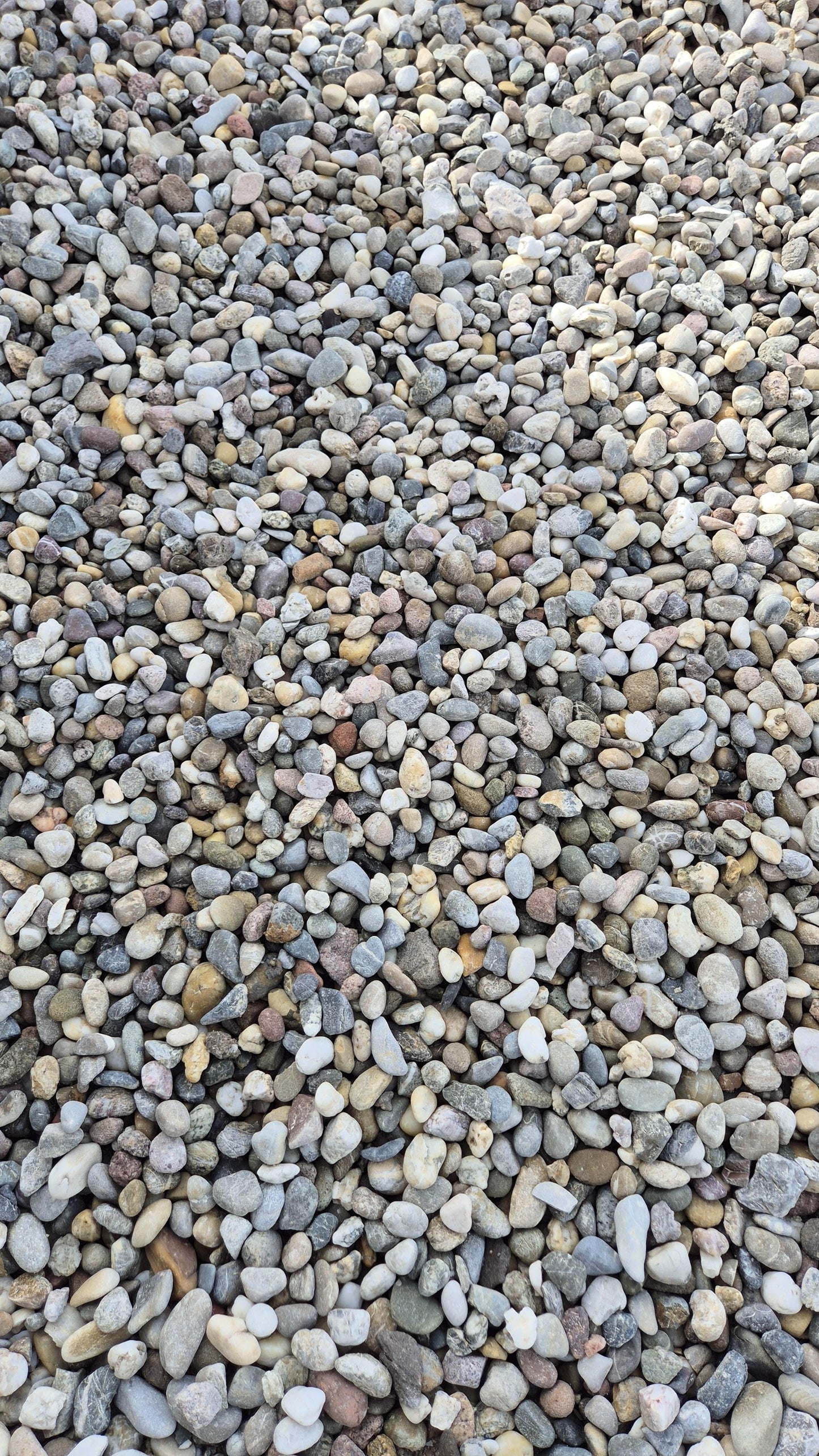 Rheinkies | 16 - 32mm | bunt - M2Granit