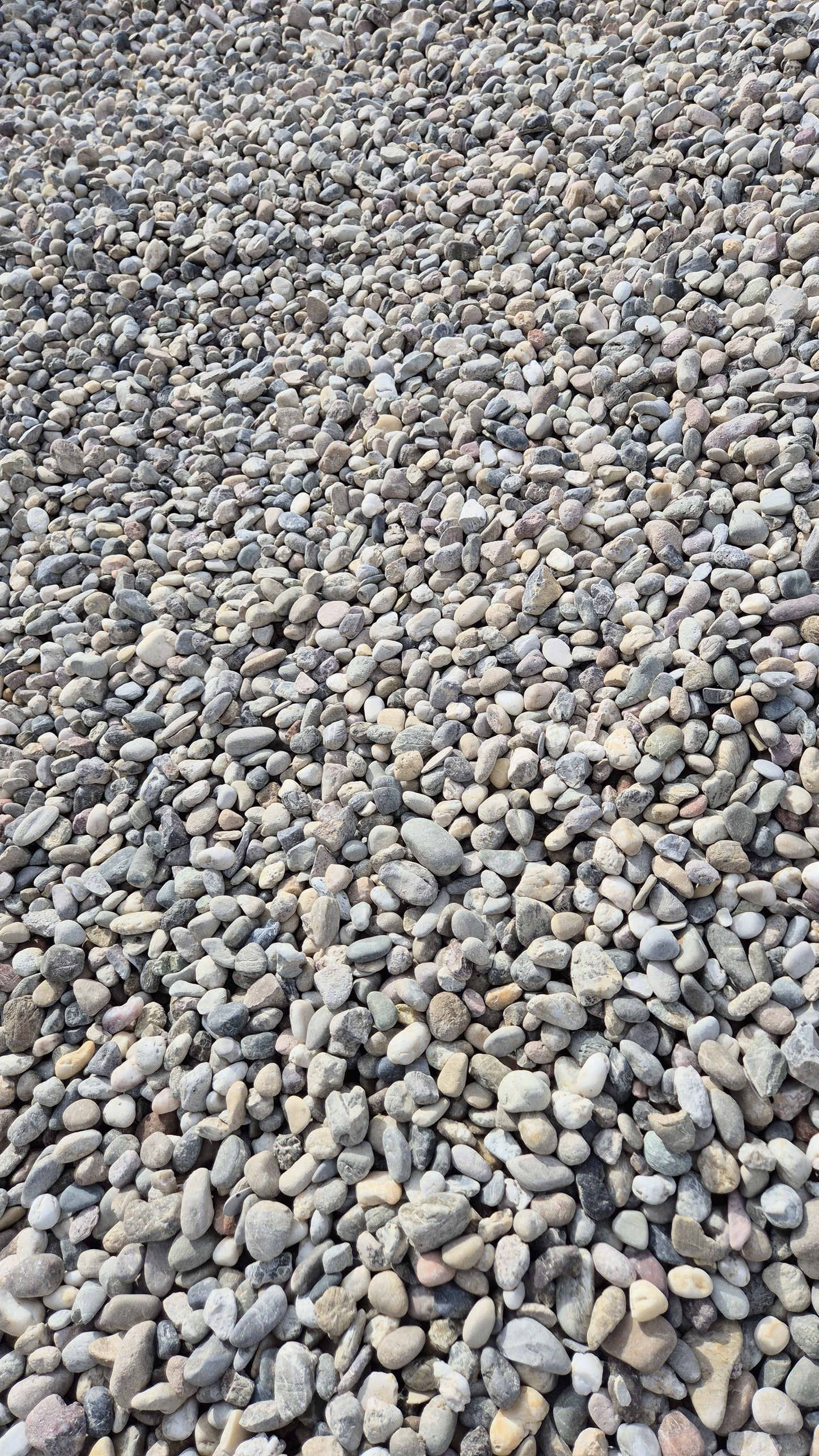 Rheinkies | 16 - 32mm | bunt - M2Granit