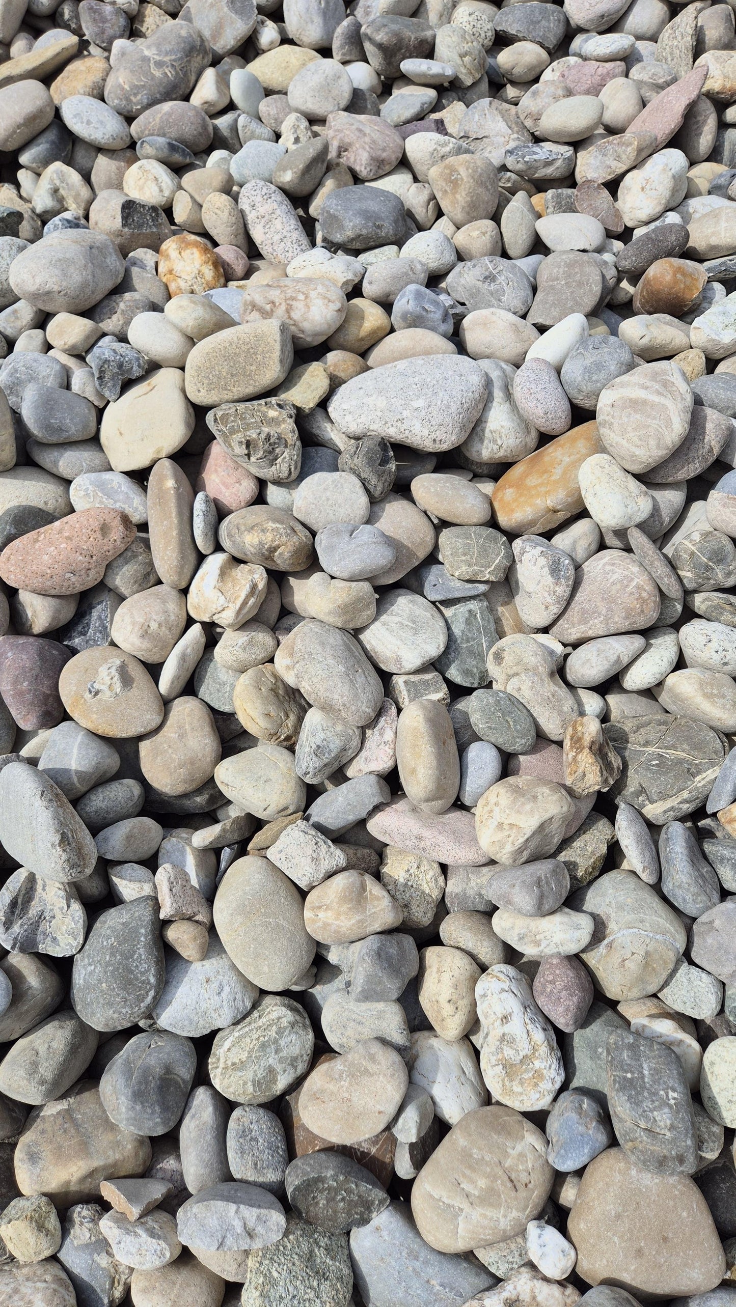 Rheinkies | 50 - 150mm | bunt - M2Granit