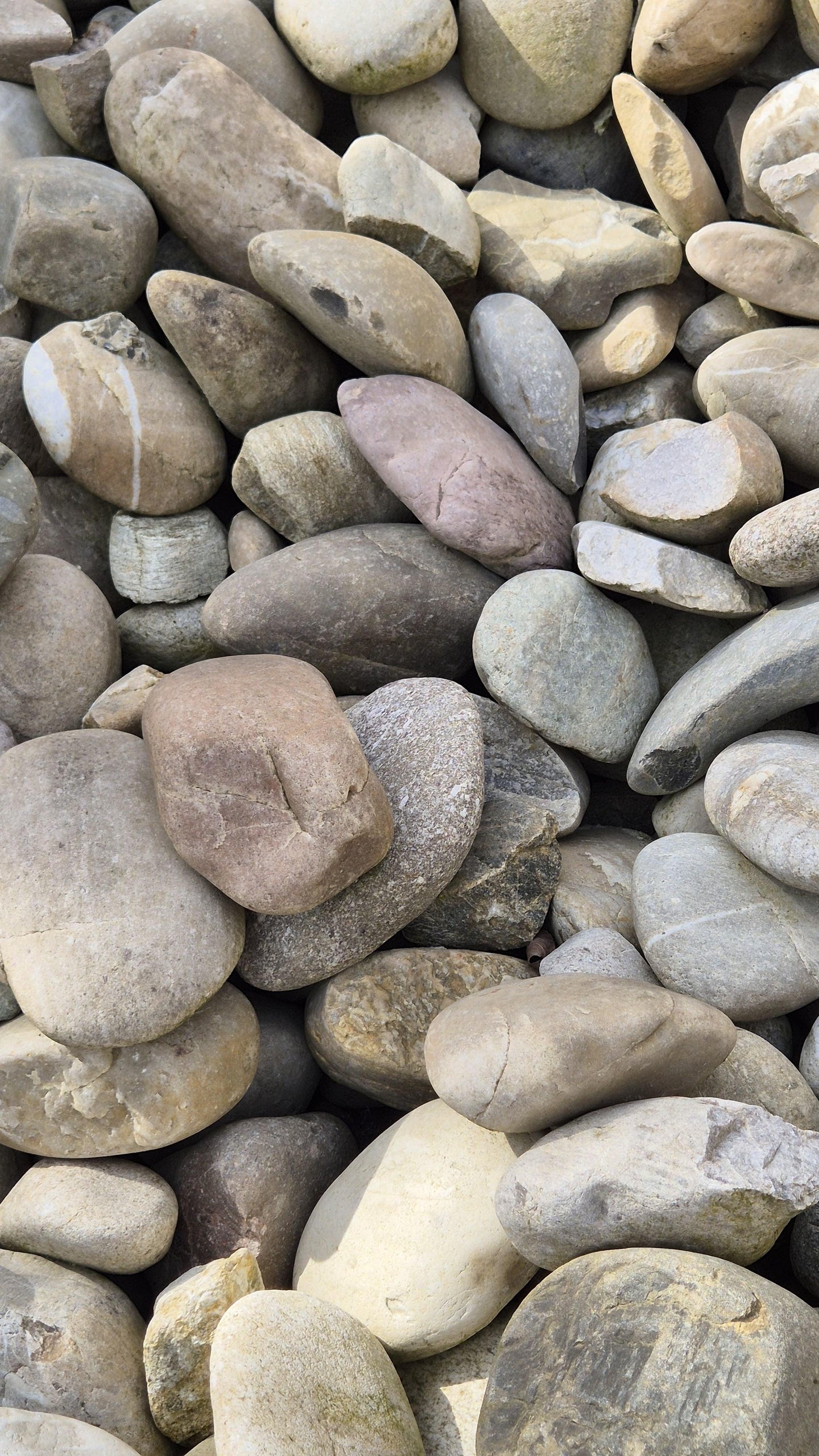 Rheinkies | 100 - 300mm | bunt - M2Granit